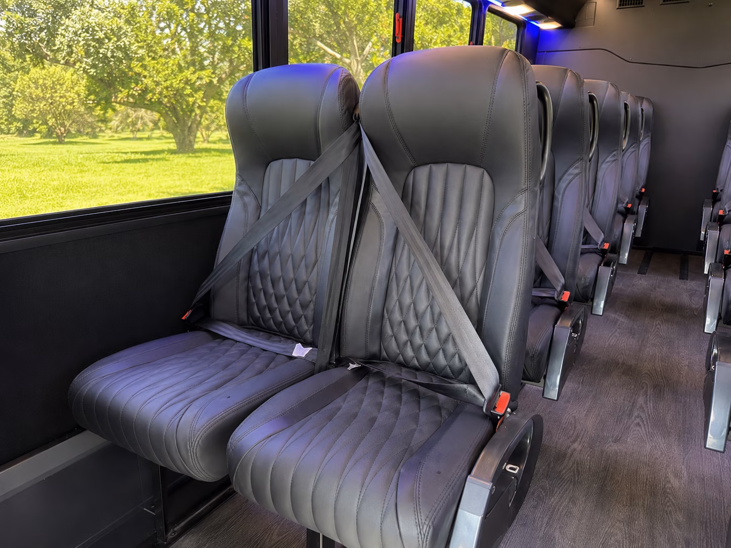 explore the texas hill country wine trail with a bus rental from victoria